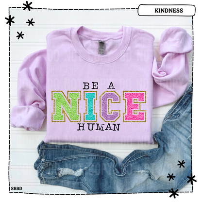 Be a Nice Human Adult T Shirt