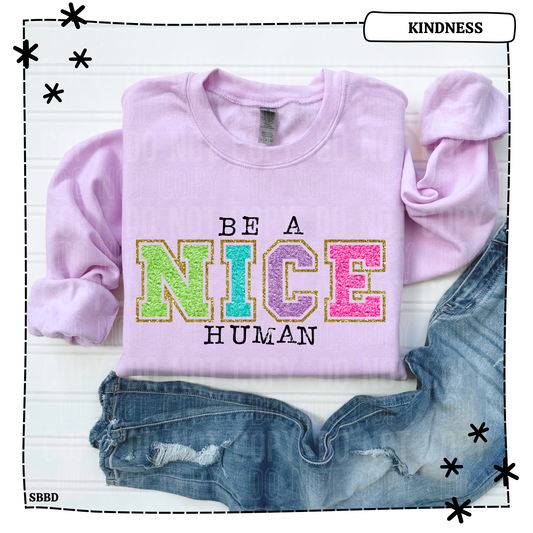 Be a Nice Human Adult T Shirt
