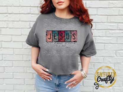Jesus Is The Way Spanish Adult T Shirt