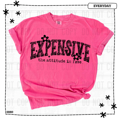 Expensive The Attitude Is Free Youth T Shirt